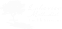 Lakeview Methodist Health Services